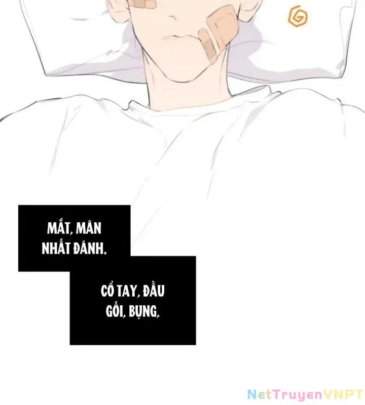 Hoàng Tử Bé Chapter 3 - Trang 2