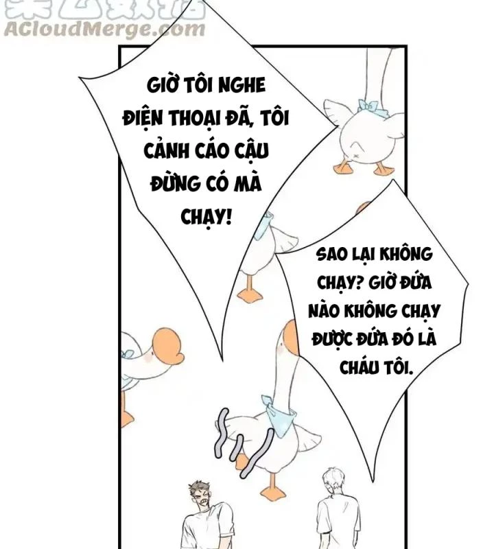 Hoàng Tử Bé Chapter 3 - Trang 2