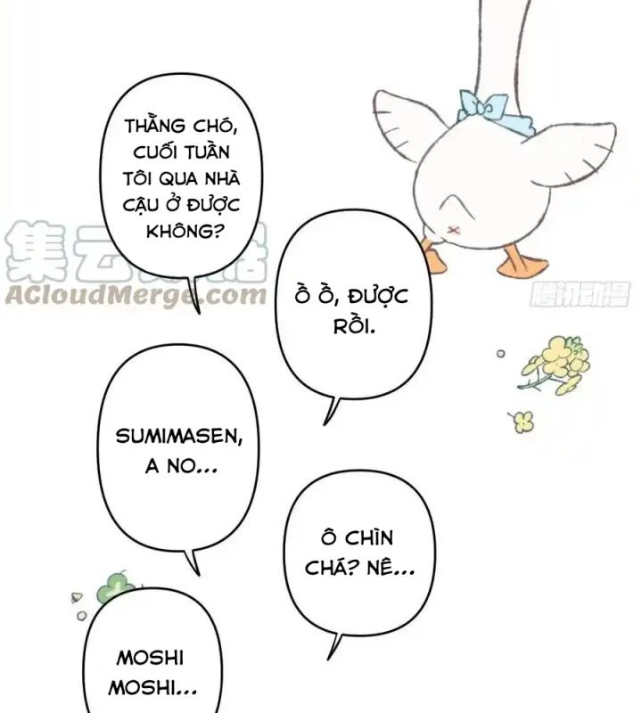 Hoàng Tử Bé Chapter 3 - Trang 2