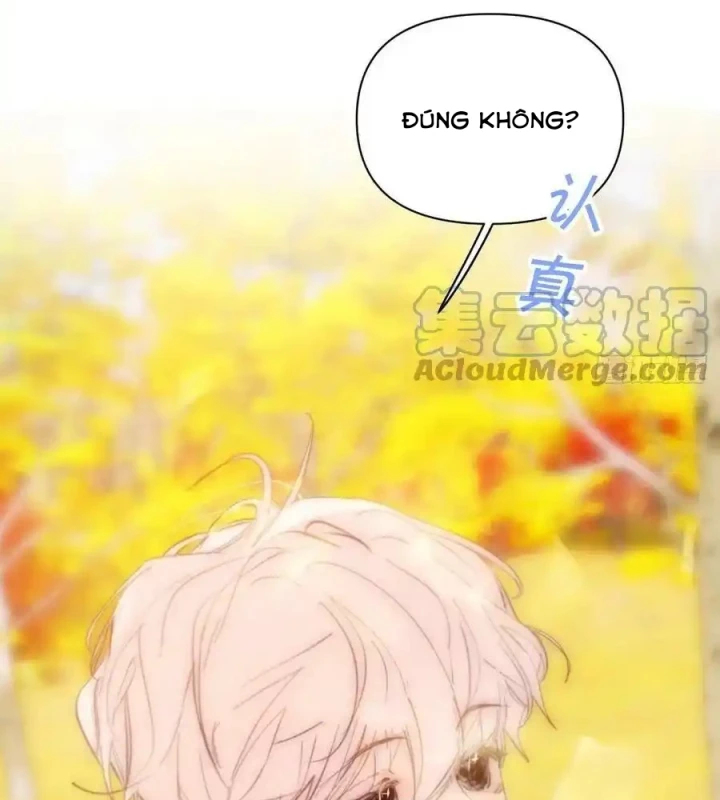 Hoàng Tử Bé Chapter 32 - Trang 2