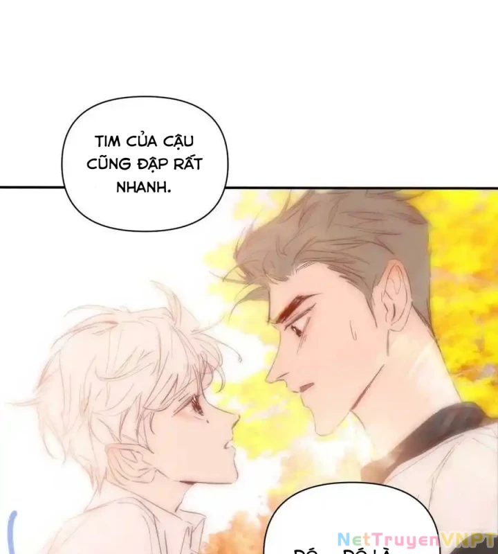 Hoàng Tử Bé Chapter 32 - Trang 2