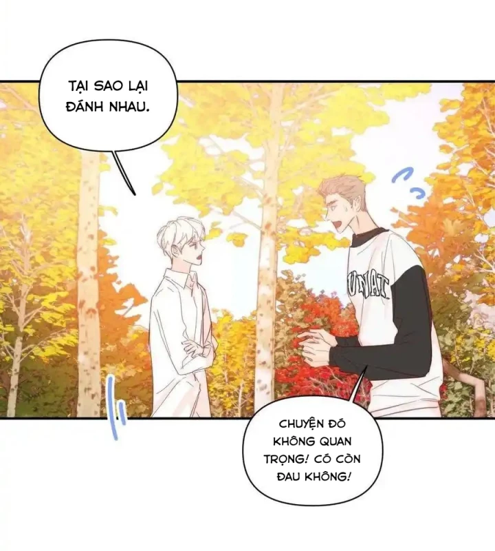 Hoàng Tử Bé Chapter 32 - Trang 2