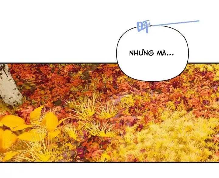 Hoàng Tử Bé Chapter 32 - Trang 2