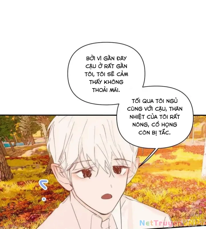 Hoàng Tử Bé Chapter 32 - Trang 2