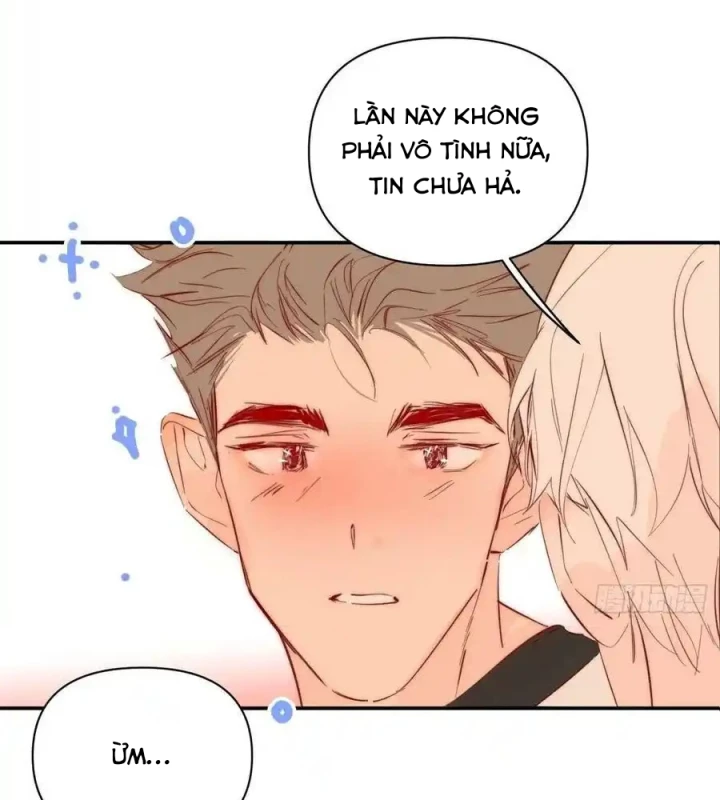 Hoàng Tử Bé Chapter 33 - Trang 2