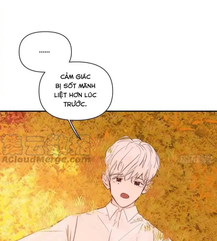 Hoàng Tử Bé Chapter 33 - Trang 2
