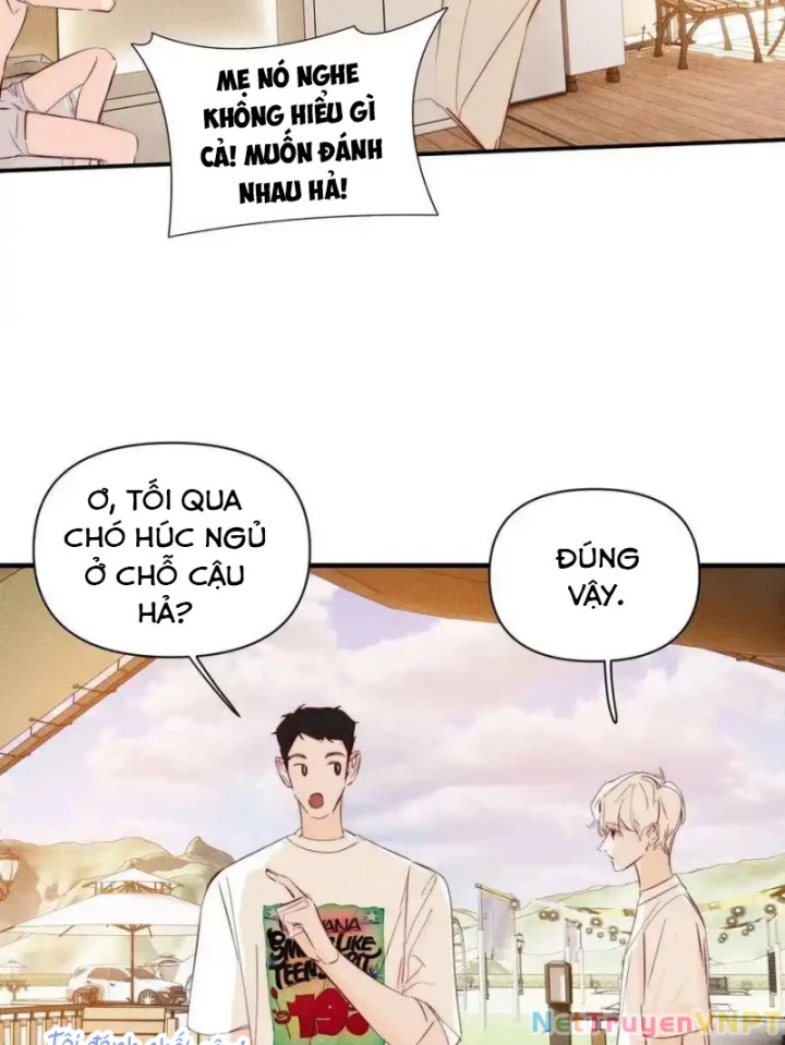 Hoàng Tử Bé Chapter 35 - Trang 2
