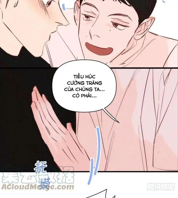 Hoàng Tử Bé Chapter 36 - Trang 2