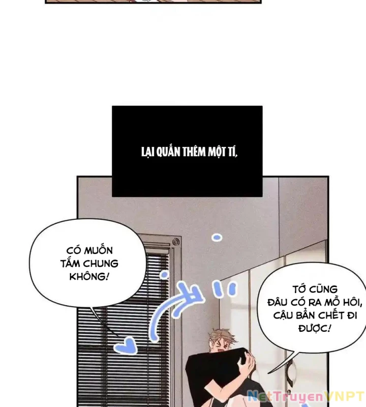 Hoàng Tử Bé Chapter 37 - Trang 2