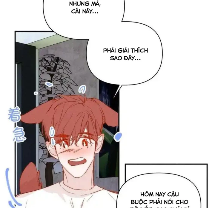Hoàng Tử Bé Chapter 37 - Trang 2