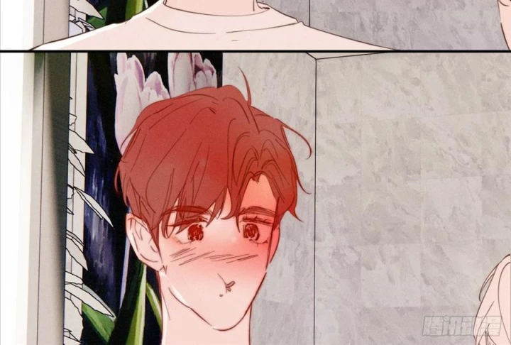 Hoàng Tử Bé Chapter 38 - Trang 2