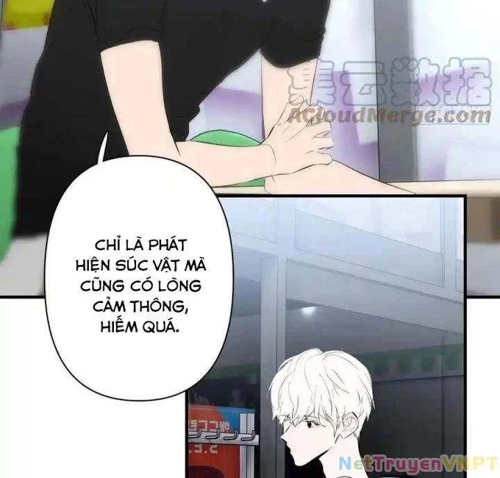 Hoàng Tử Bé Chapter 4 - Trang 2