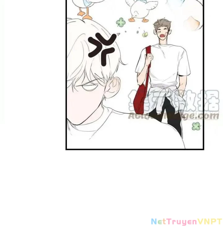 Hoàng Tử Bé Chapter 4 - Trang 2