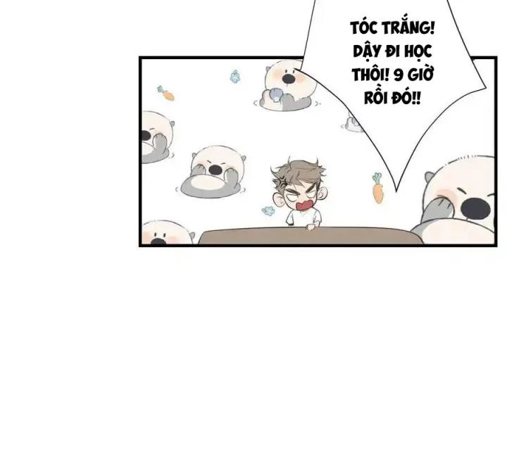 Hoàng Tử Bé Chapter 4 - Trang 2