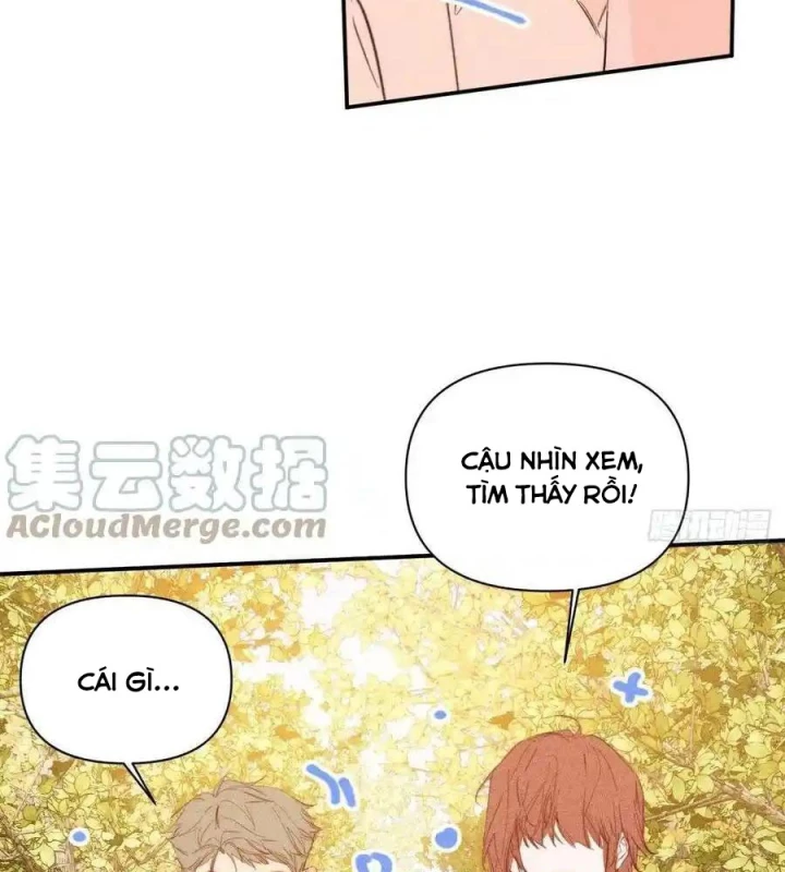 Hoàng Tử Bé Chapter 40.1 - Trang 2