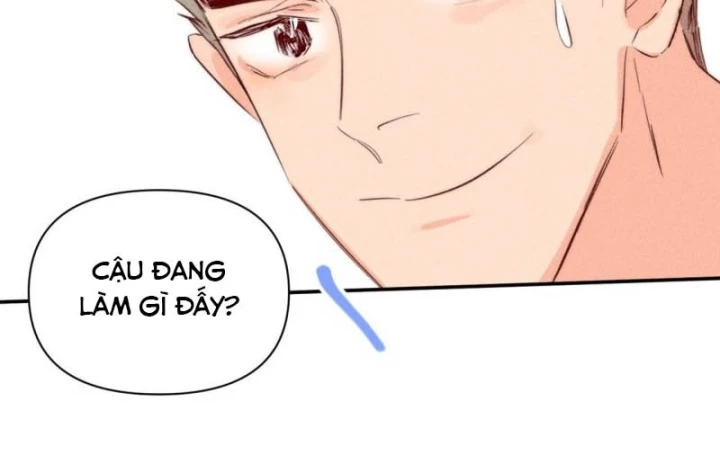 Hoàng Tử Bé Chapter 40 - Trang 2