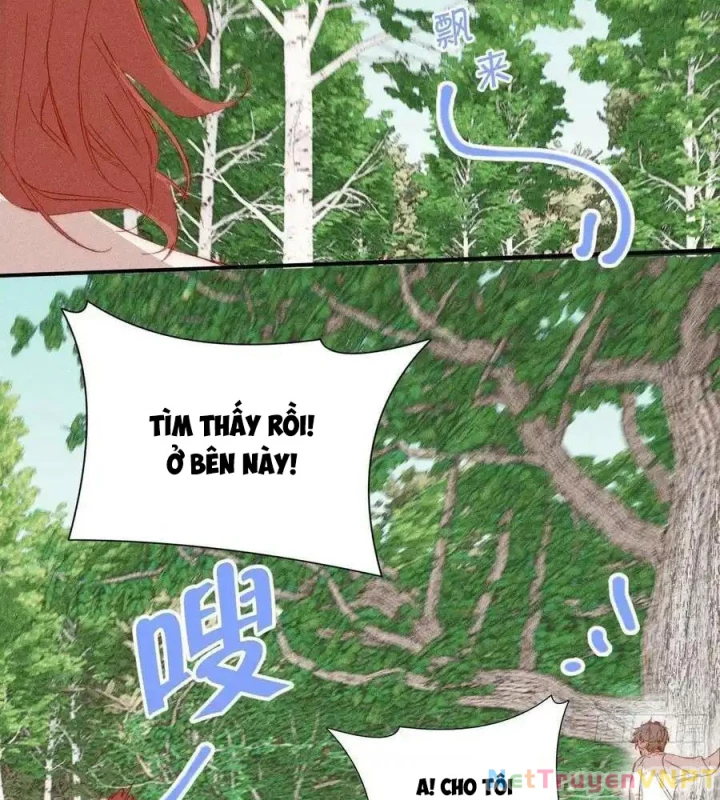 Hoàng Tử Bé Chapter 41.1 - Trang 2