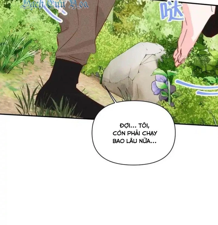 Hoàng Tử Bé Chapter 41.1 - Trang 2