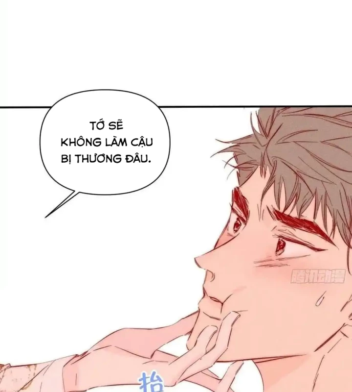 Hoàng Tử Bé Chapter 41 - Trang 2