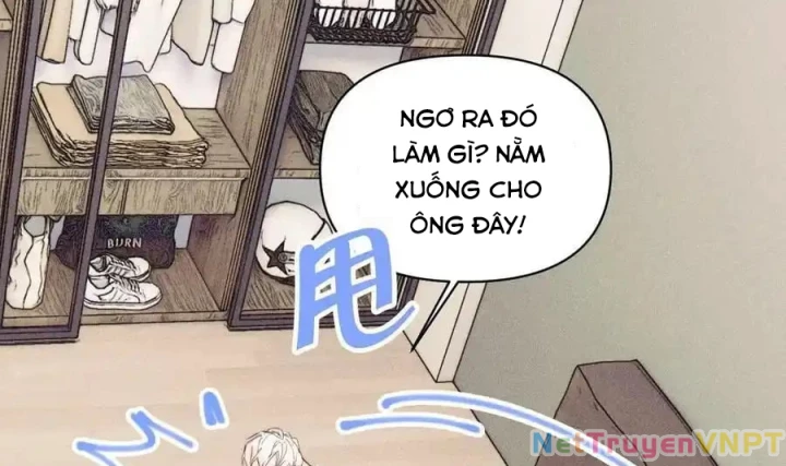 Hoàng Tử Bé Chapter 41 - Trang 2