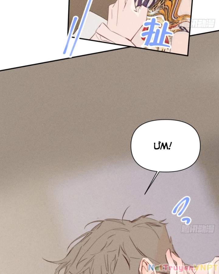 Hoàng Tử Bé Chapter 42 - Trang 2