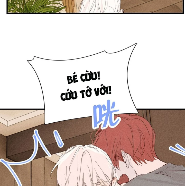 Hoàng Tử Bé Chapter 47 - Trang 2
