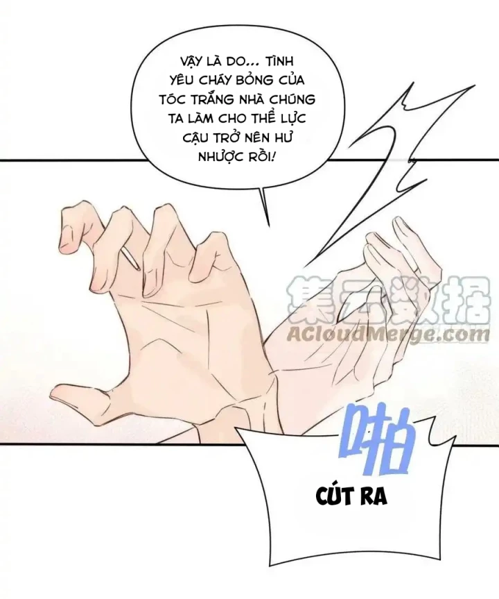 Hoàng Tử Bé Chapter 49 - Trang 2