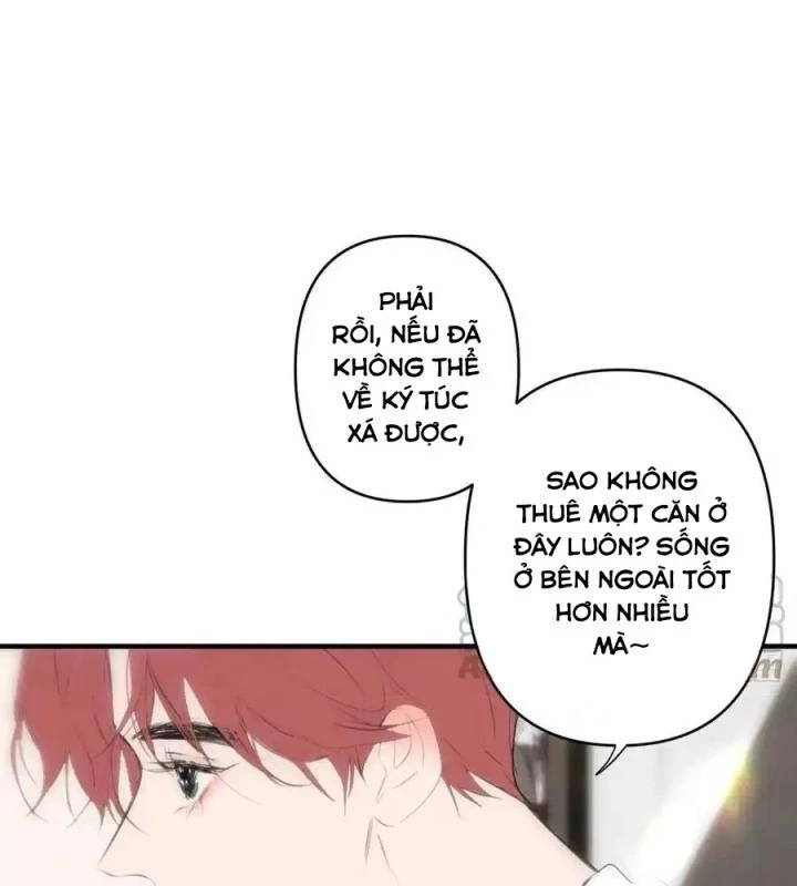 Hoàng Tử Bé Chapter 5 - Trang 2