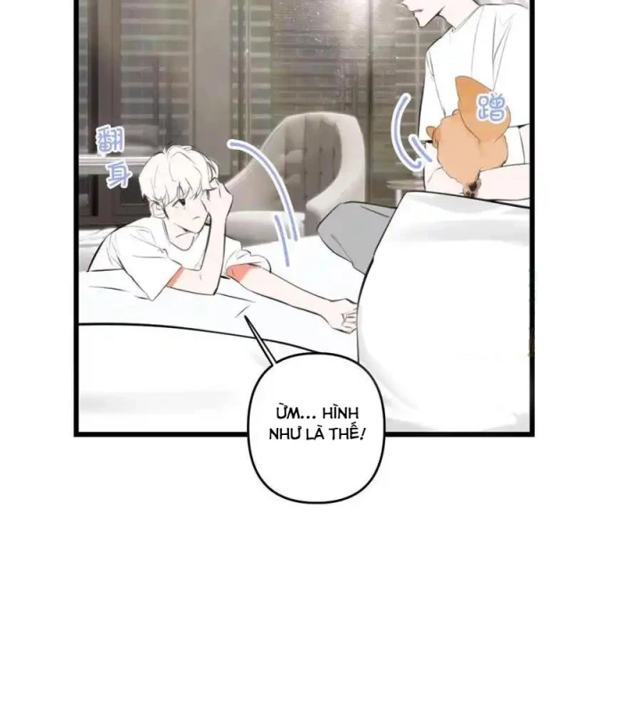Hoàng Tử Bé Chapter 9 - Trang 2