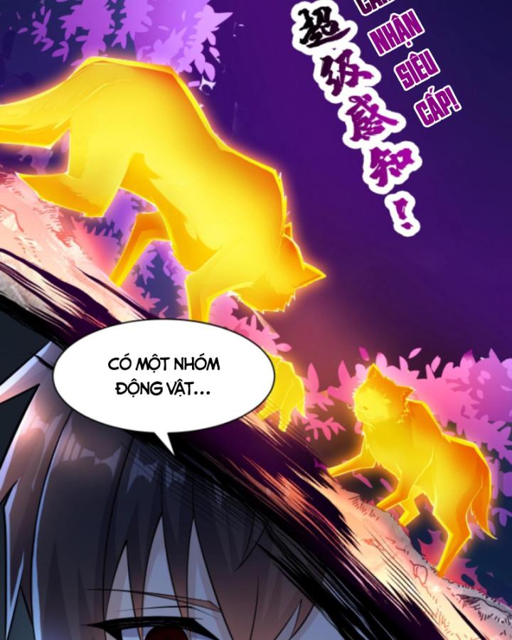 Học Cùng Em Gái, Không Cẩn Thận Trở Thành Vô Địch Chapter 26 - Trang 2