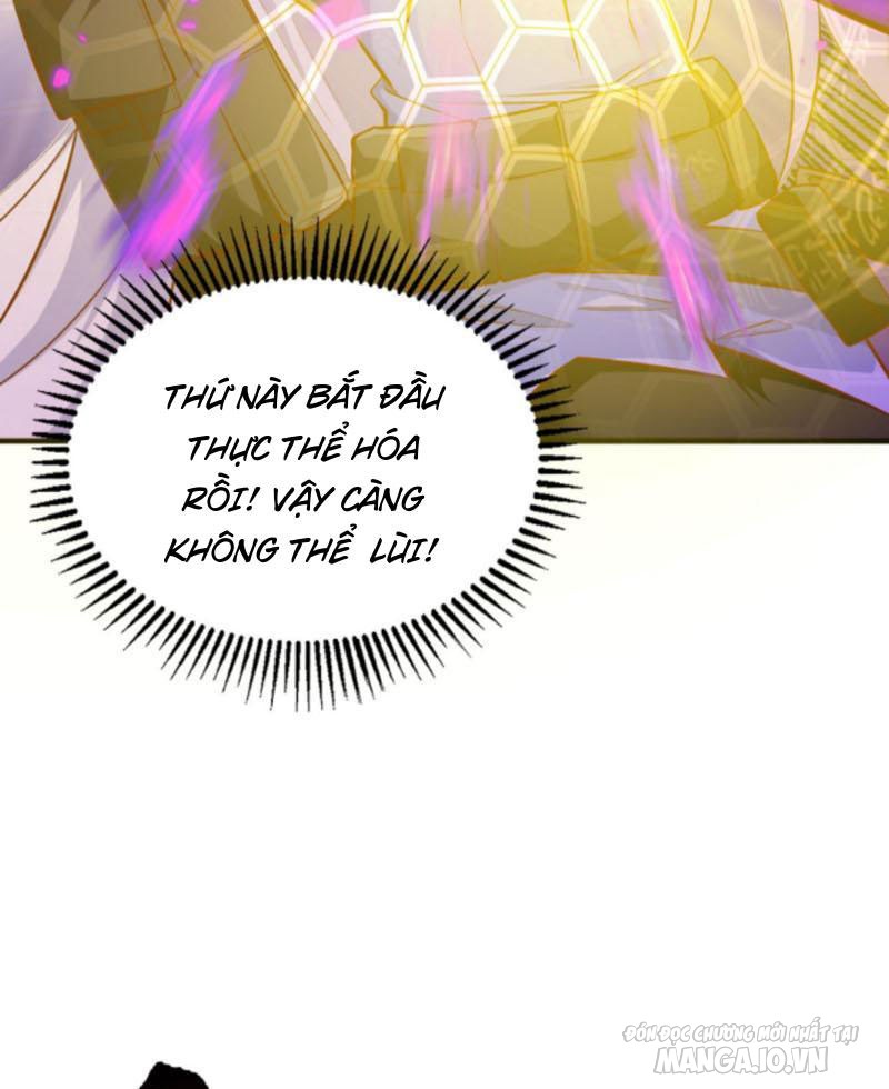 Học Cùng Em Gái, Không Cẩn Thận Trở Thành Vô Địch Chapter 3 - Trang 2