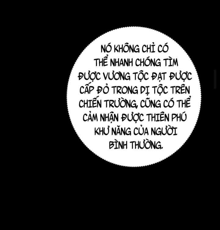 Học Cùng Em Gái, Không Cẩn Thận Trở Thành Vô Địch Chapter 71 - Trang 2