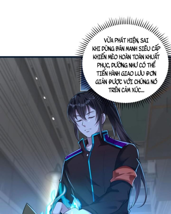 Học Cùng Em Gái, Không Cẩn Thận Trở Thành Vô Địch Chapter 73 - Trang 2