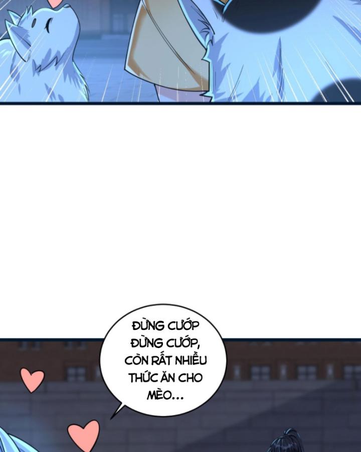 Học Cùng Em Gái, Không Cẩn Thận Trở Thành Vô Địch Chapter 73 - Trang 2