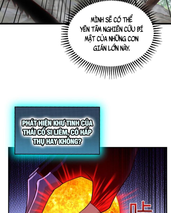 Học Cùng Em Gái, Không Cẩn Thận Trở Thành Vô Địch Chapter 75 - Trang 2