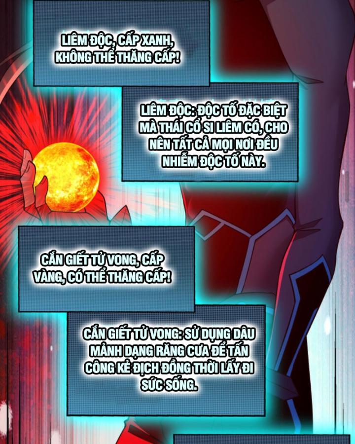 Học Cùng Em Gái, Không Cẩn Thận Trở Thành Vô Địch Chapter 75 - Trang 2