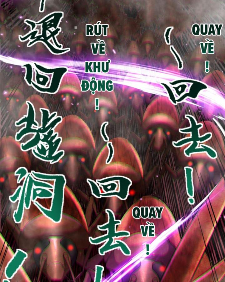 Học Cùng Em Gái, Không Cẩn Thận Trở Thành Vô Địch Chapter 76 - Trang 2