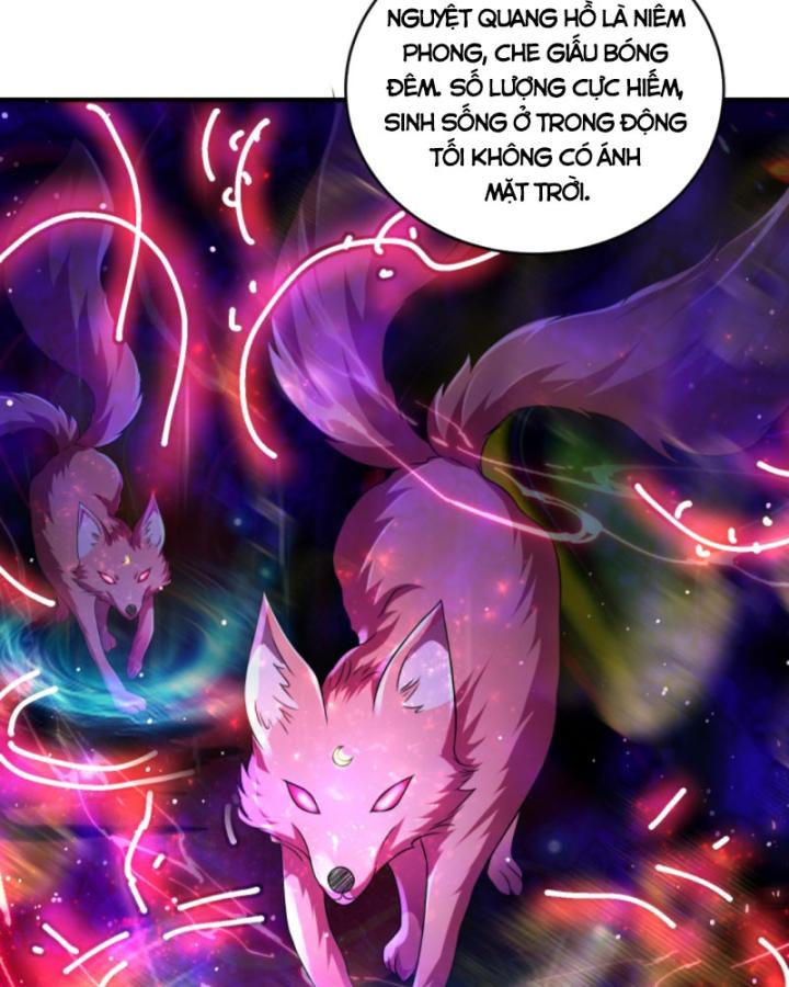Học Cùng Em Gái, Không Cẩn Thận Trở Thành Vô Địch Chapter 83 - Trang 2