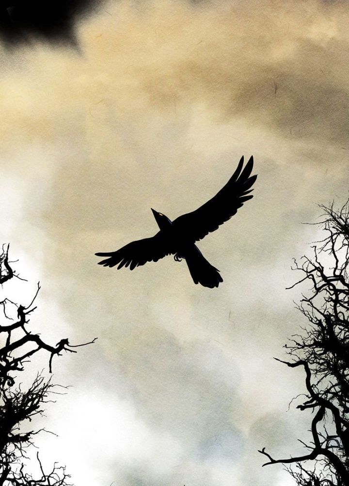 Học Viện Nevermore Chapter 1 - Trang 2