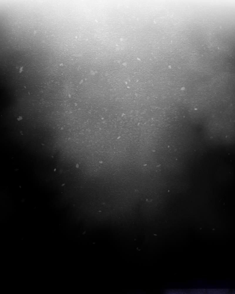 Học Viện Nevermore Chapter 10 - Trang 2