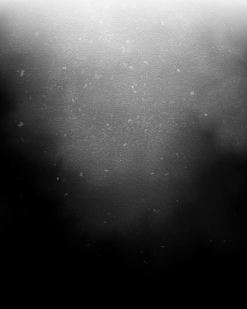 Học Viện Nevermore Chapter 11 - Trang 2