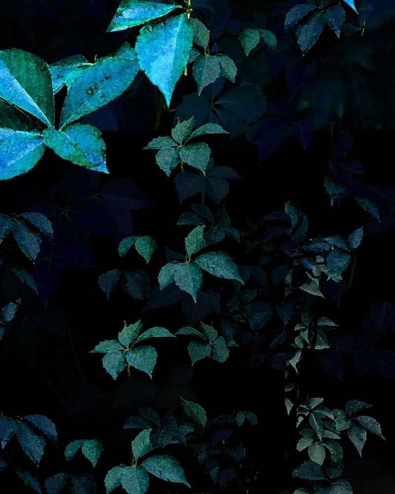 Học Viện Nevermore Chapter 16 - Trang 2