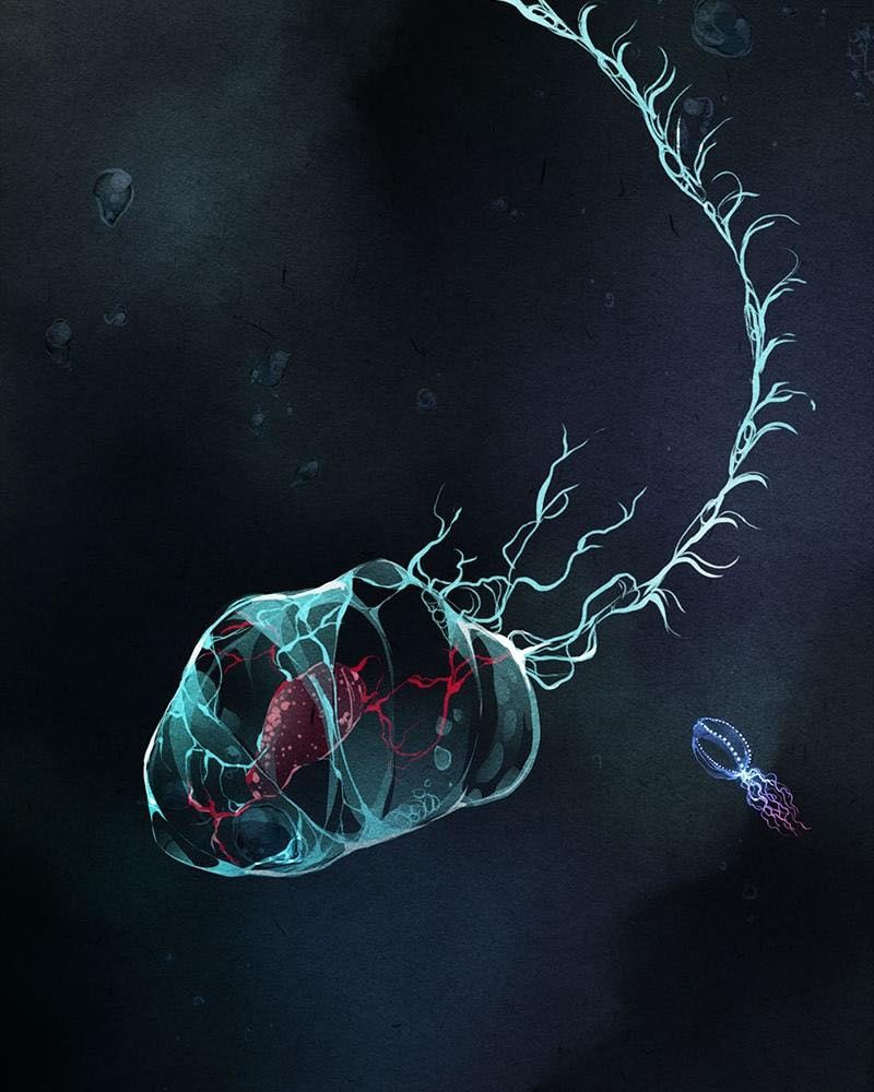 Học Viện Nevermore Chapter 17 - Trang 2