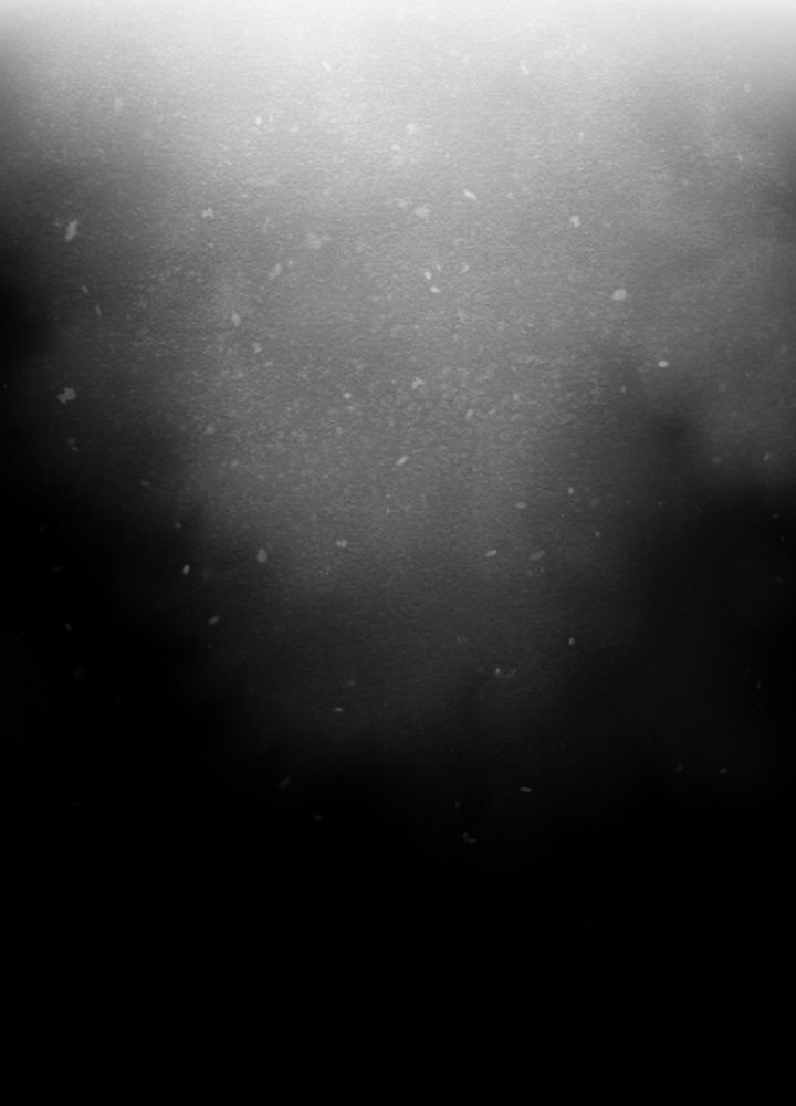 Học Viện Nevermore Chapter 3 - Trang 2