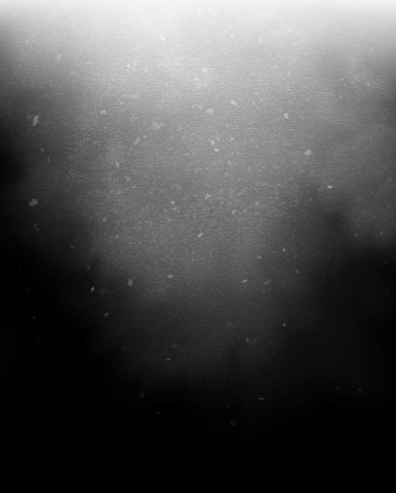 Học Viện Nevermore Chapter 8 - Trang 2