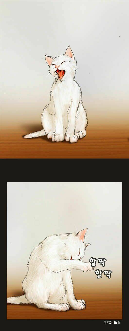 Hội Ảo Thuật Chapter 20 - Trang 2