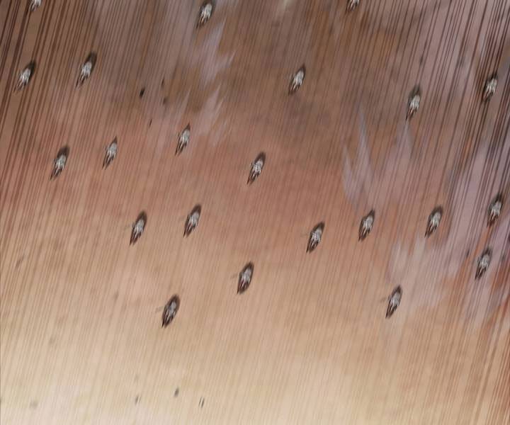 Hồi Quy Thành Công Tước Chapter 19 - Trang 2