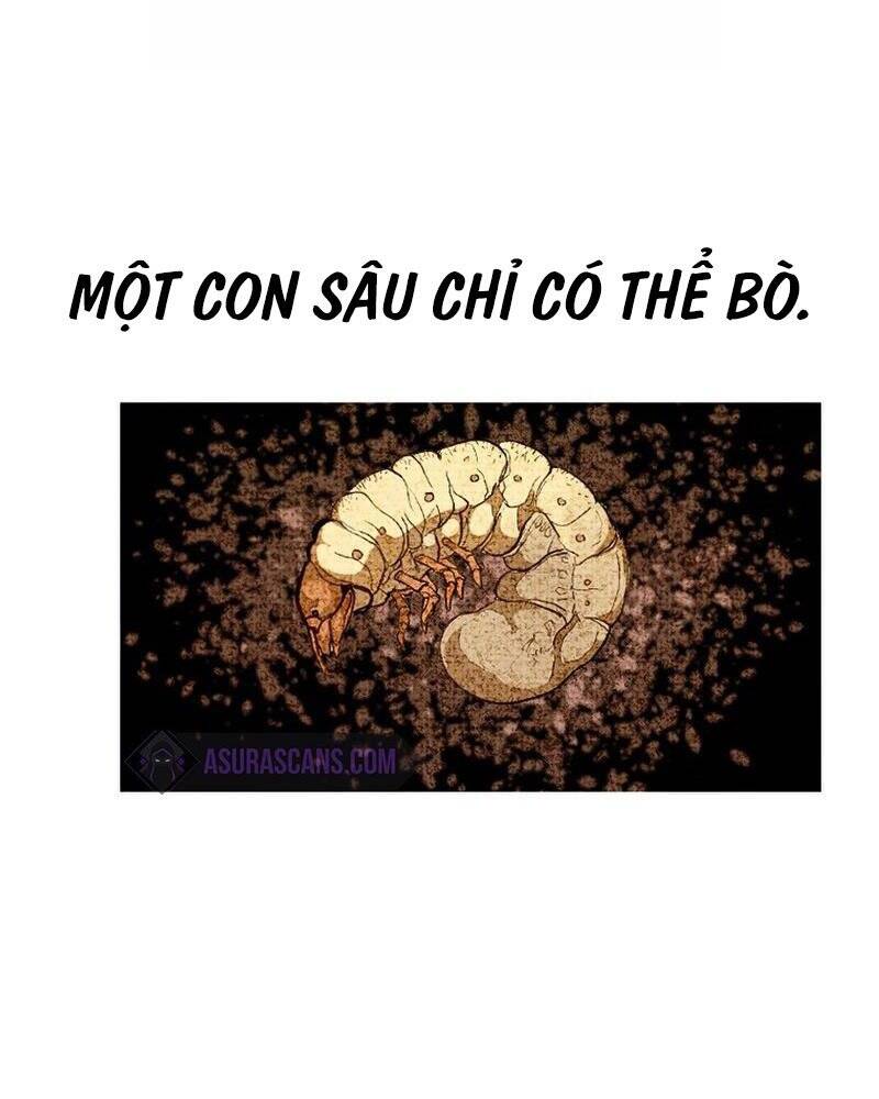 Hồi Quy Trở Lại Thành Kẻ Vô Dụng Chapter 33 - Trang 2