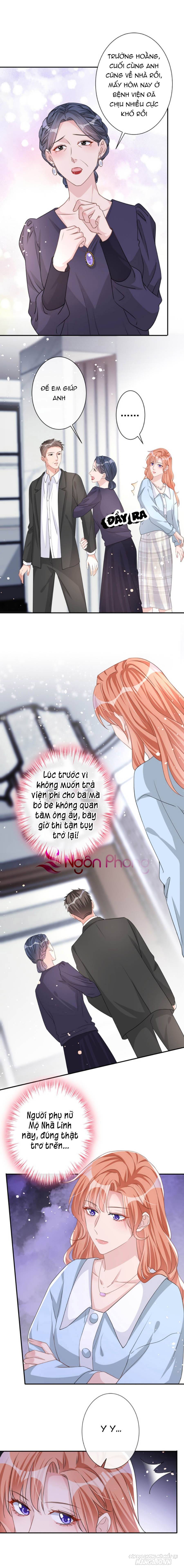 Hôm Nay Từ Chối Lục Tiên Sinh Chưa? Chapter 20 - Trang 2