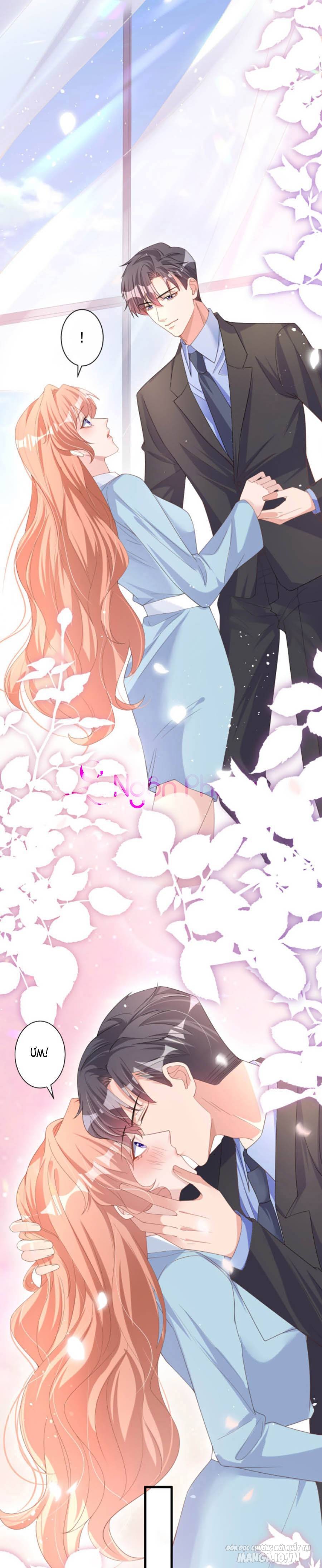 Hôm Nay Từ Chối Lục Tiên Sinh Chưa? Chapter 29 - Trang 2